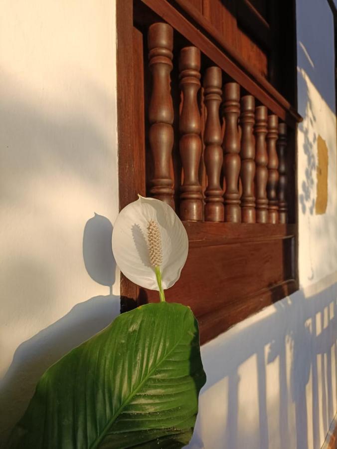 Hotel Santa Monica Barichara Exterior foto